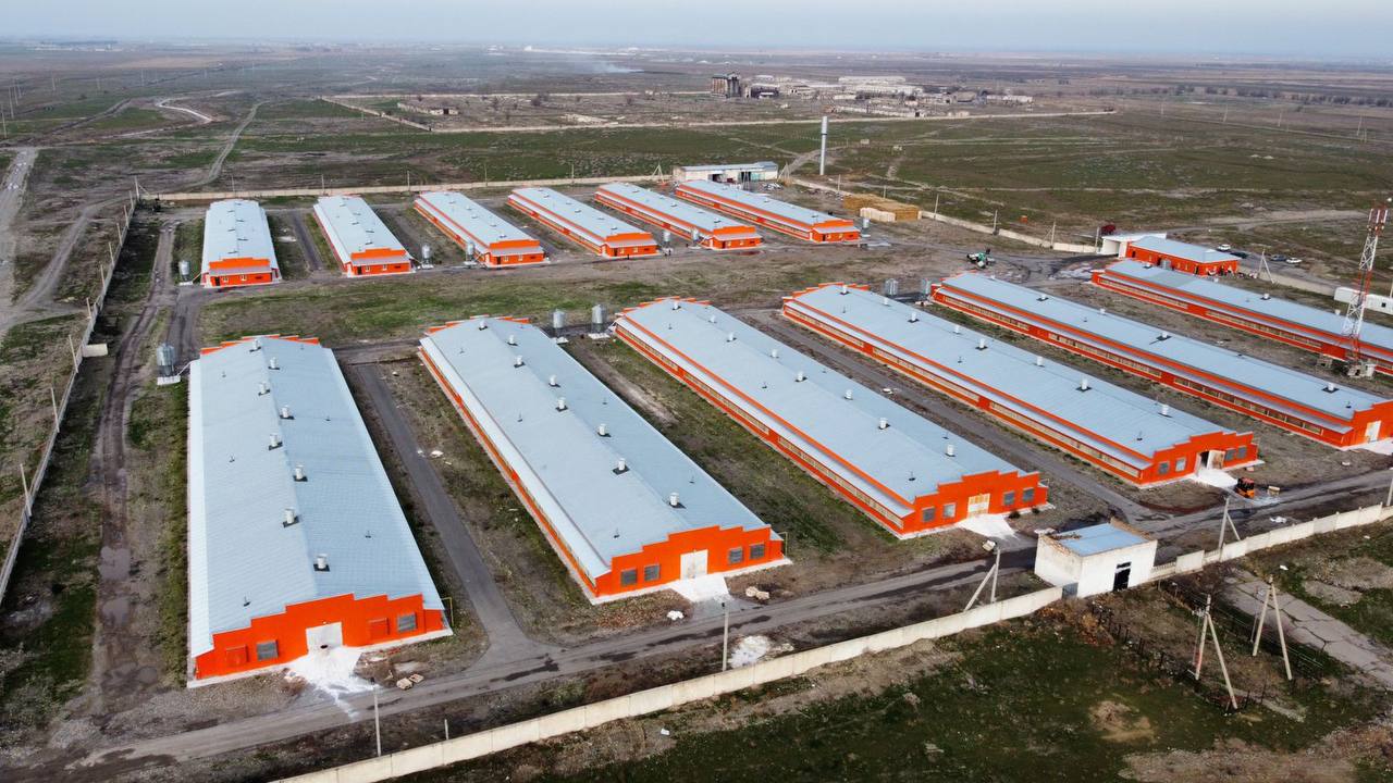 Construction of the Almaty Poultry Farm with a Capacity of 120,000 Tons of Meat Products